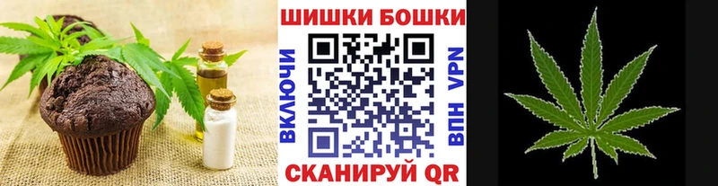 Купить закладки  Каменногорск  Cannafood конопля 