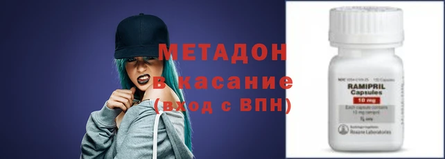 прущие грибы Вязьма